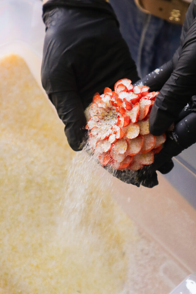 Procesfoto 4 van Flori