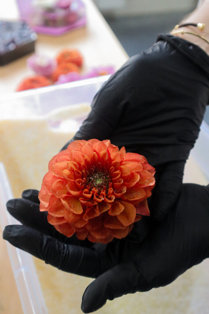 Procesfoto 3 van Flori